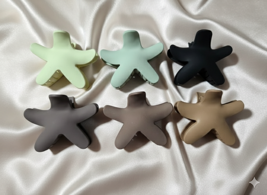 EarthStar Claw Clip (Random Colour)