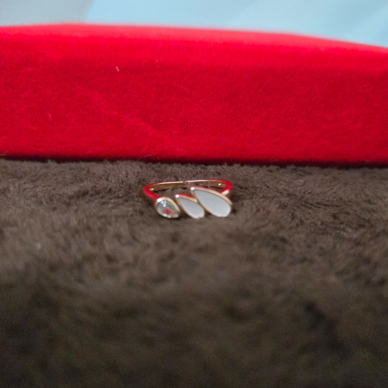 rings on a brown surface with a red box in the background