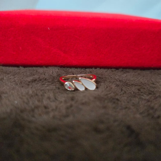 rings on a brown surface with a red box in the background